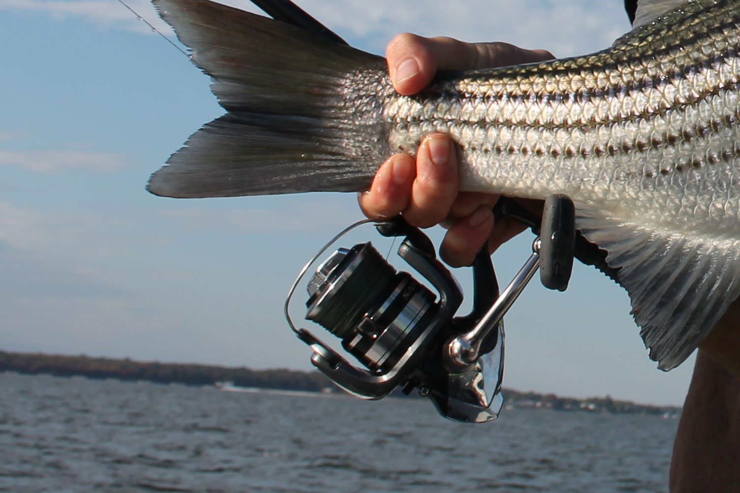 The Stradic C3000 spinning reels we tested saw plenty of use, and held up like champs.