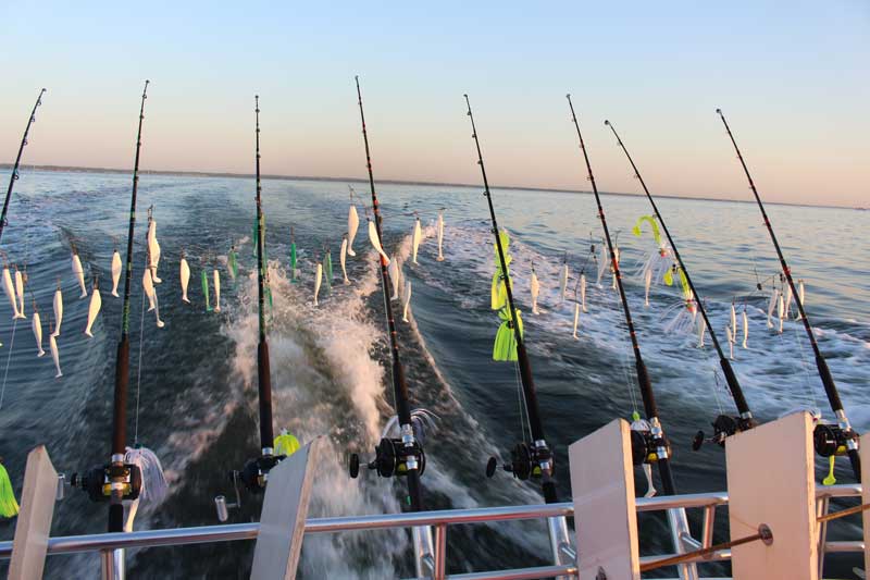 trolling rods and reels on a boat