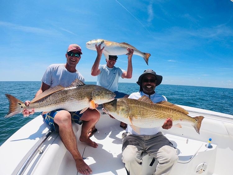 big red drum anglers caught in chesapeake bay