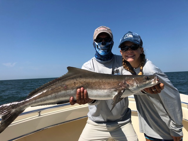 tangier sound cobia