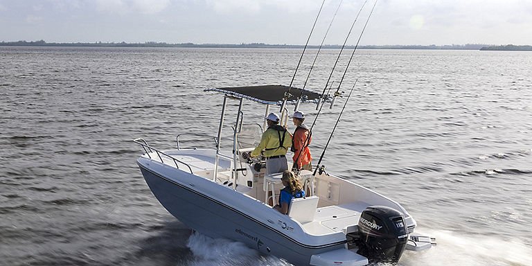 bayliner t21 bay running