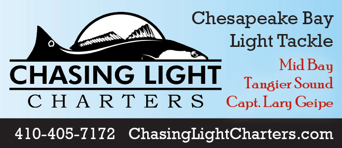 chasing Light charters