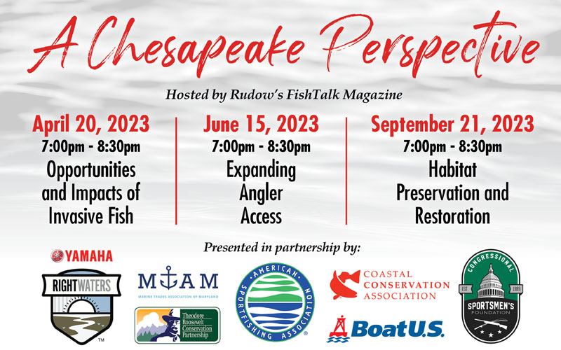 chesapeake perspective