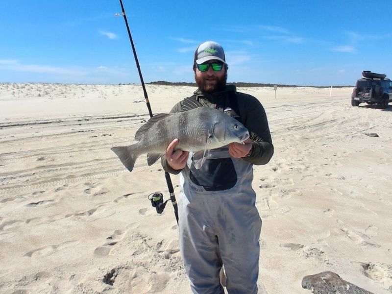 Black drum fishing