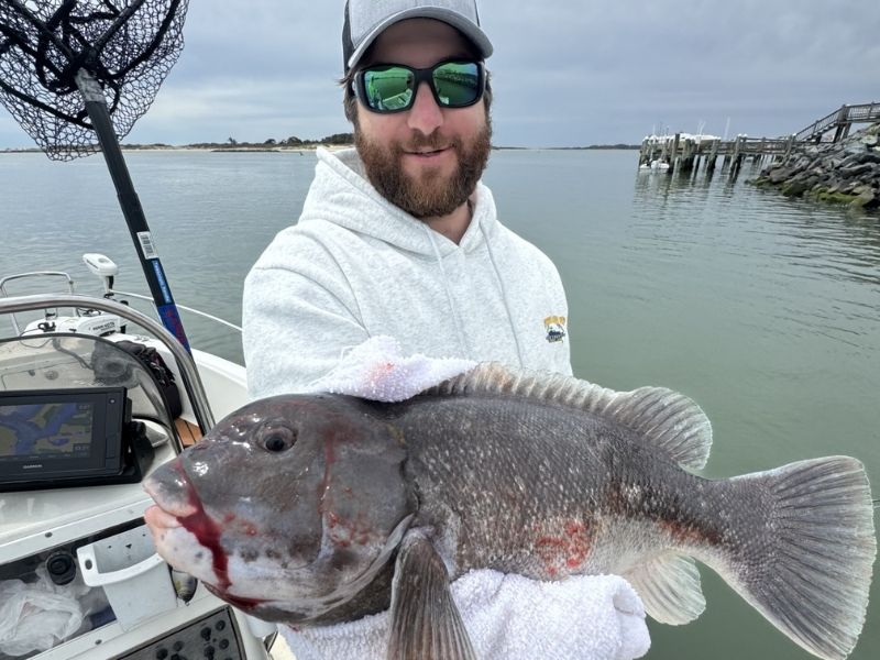 tautog fishing ocean city maryland
