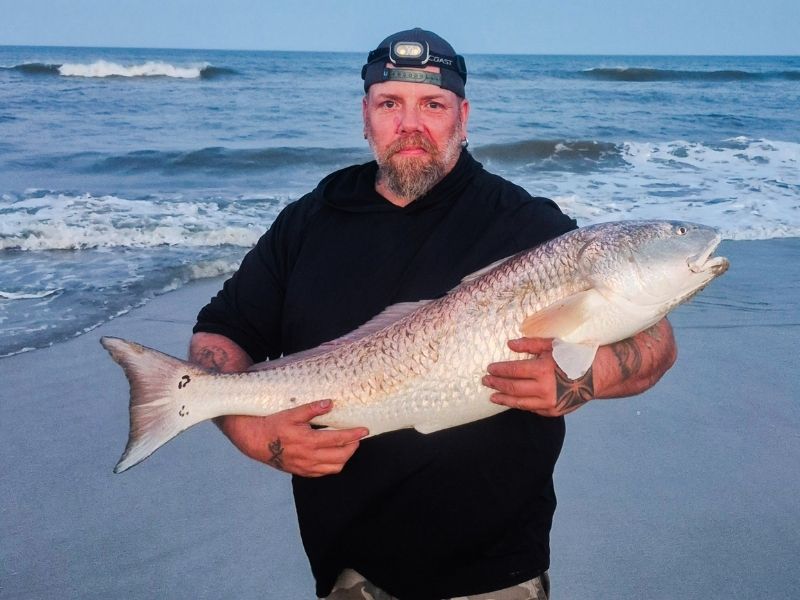 Red drum surf fishing