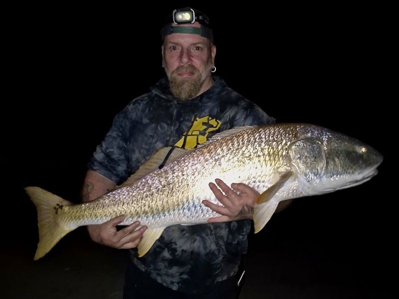 Red drum surf fishing