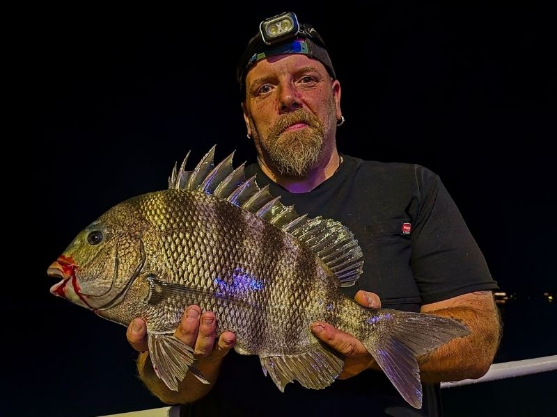 Sheepshead fishing Ocean City