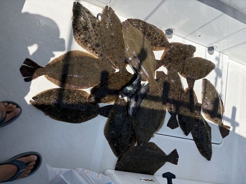 Ocean flounder fishing