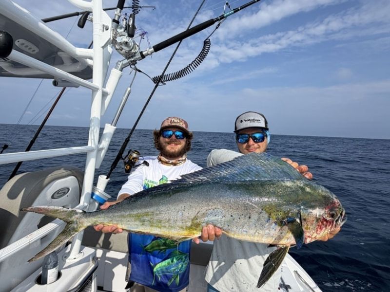 Mahi fishing