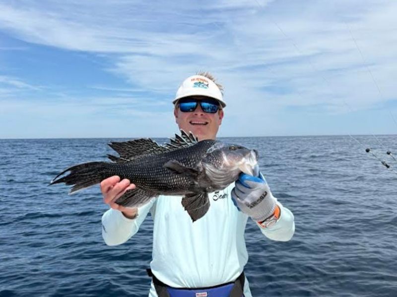 Sea bass fishing Ocean City Maryland