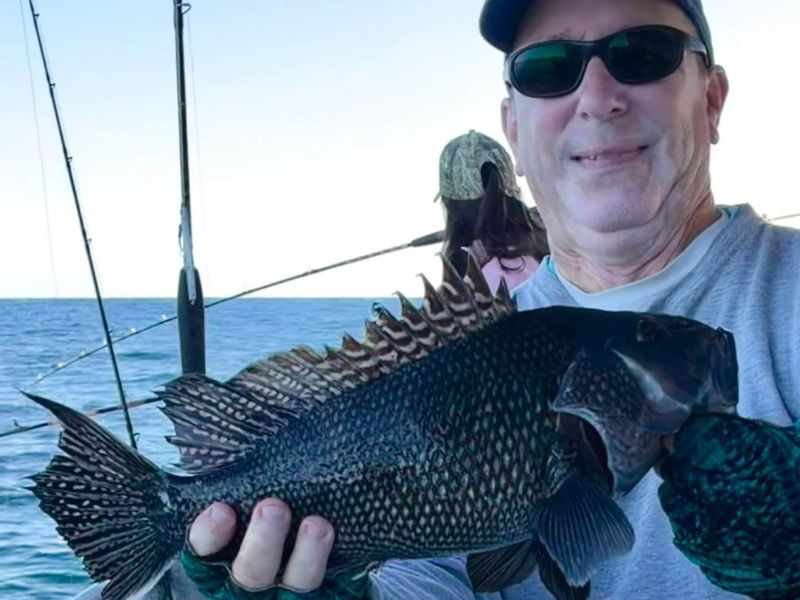Sea bass fishing Ocean City Maryland