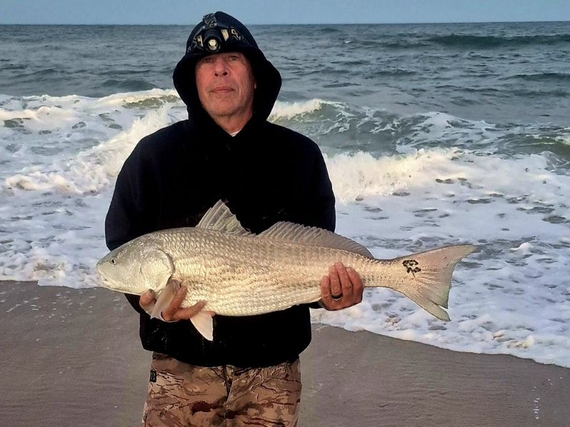 Red drum surf fishing
