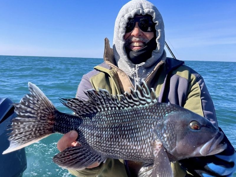 Black sea bass fishing Virginia Beach