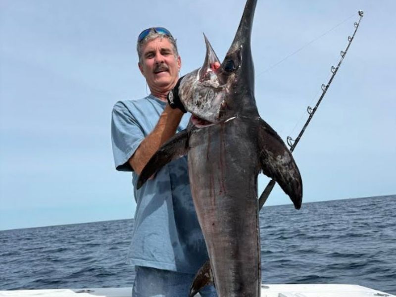 Swordfish Offshore Fishing