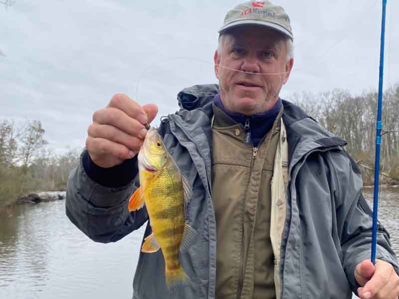 angler with perch
