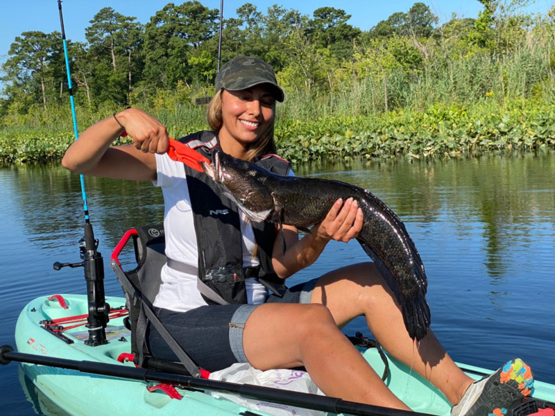 freshwater fishing northern snakehead