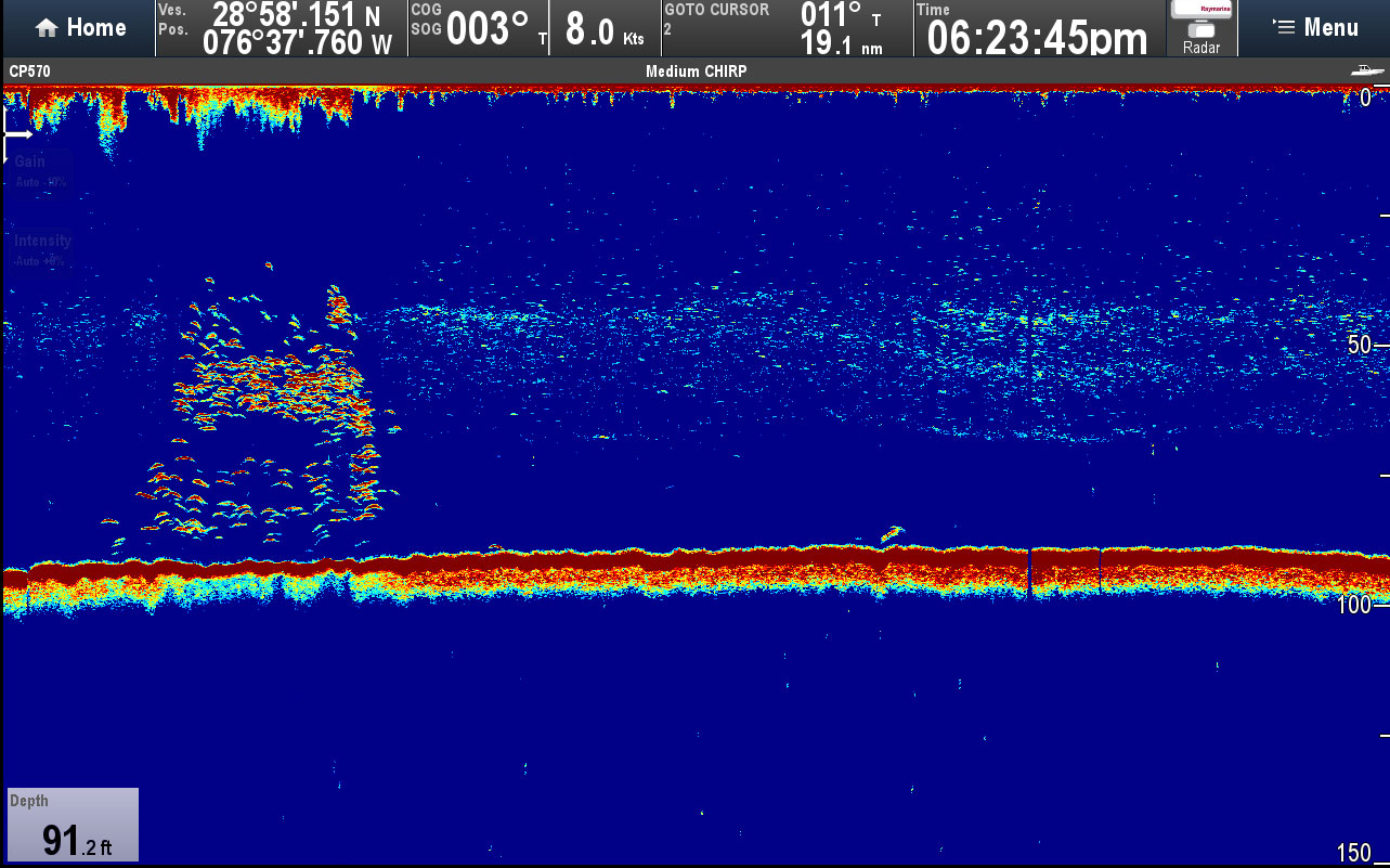 thermosline on a fishfinder