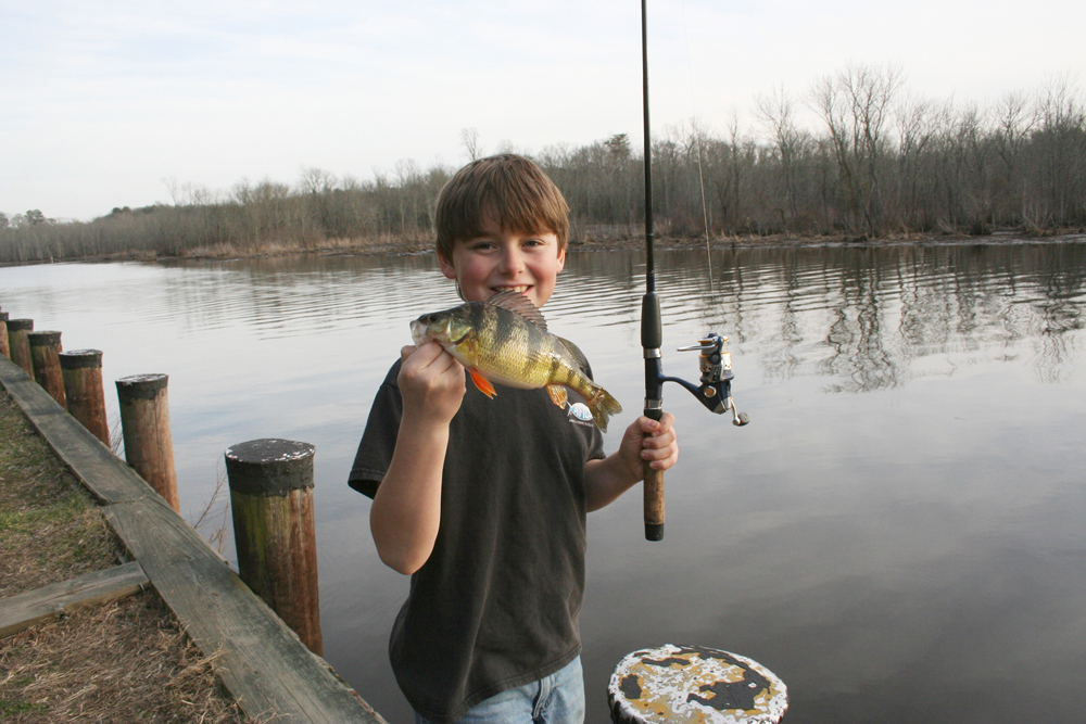 fishing the shoreline