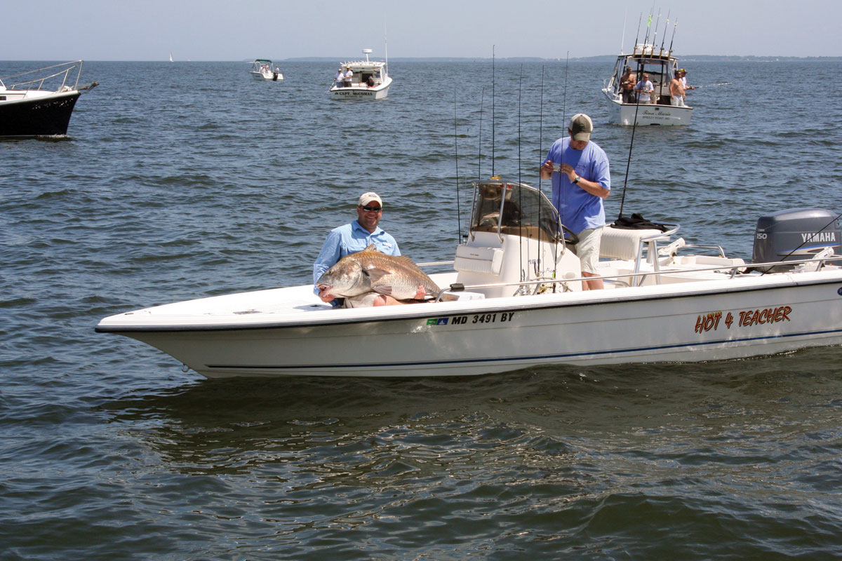 angler on center console fishing boat with black drum