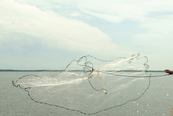 Pea-Nutty: Live-Lining Peanut Bunker for Stripers