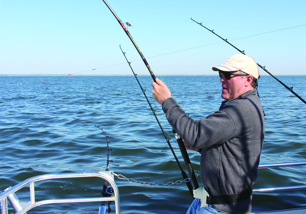 reeling in a rockfish