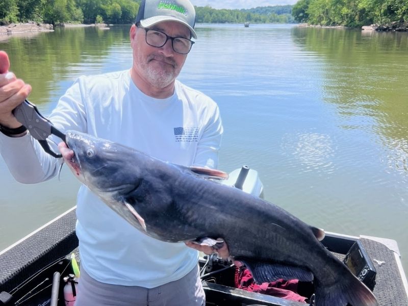 Jigging for catfish