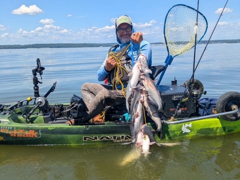 blue catfish potomac river