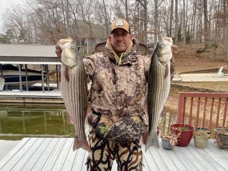 Freshwater striped bass fishing