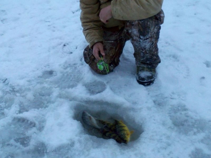 Ice Fishing 