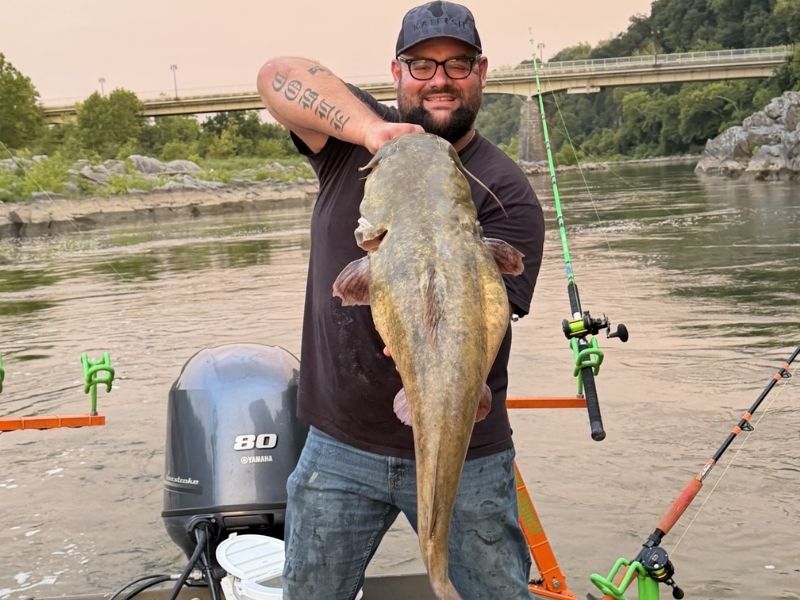 Flathead catfish fishing