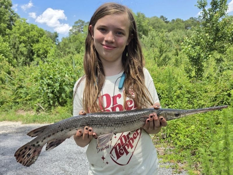 Gar fishing