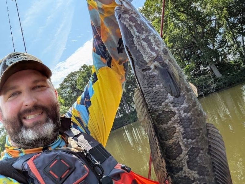 Snakehead fishing
