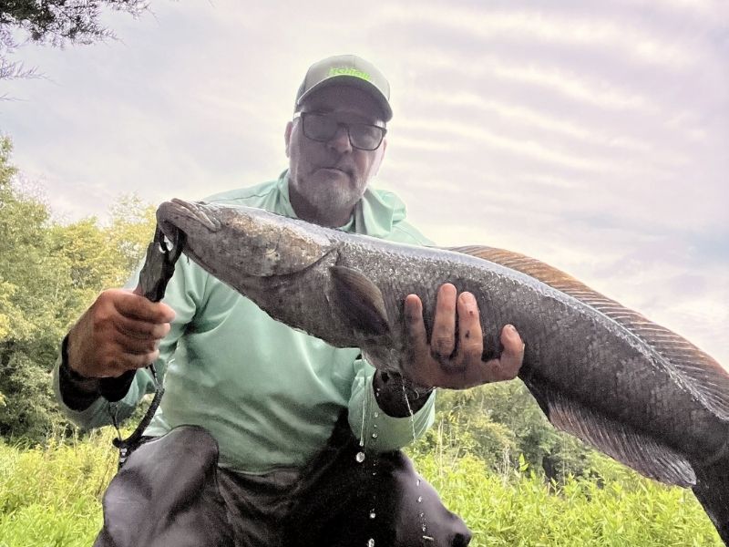 Snakehead fishing