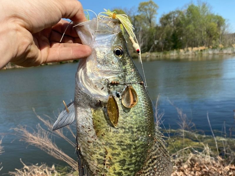 Crappie fishing