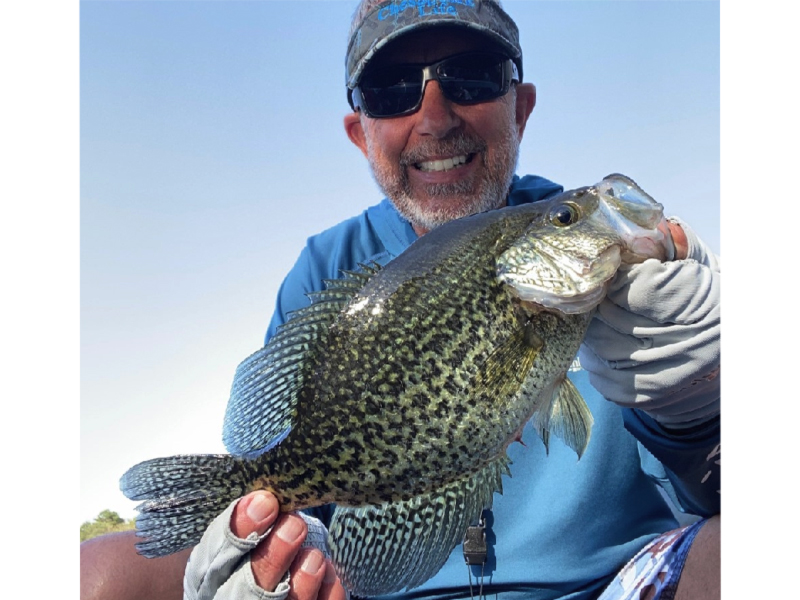 big crappie from a pond