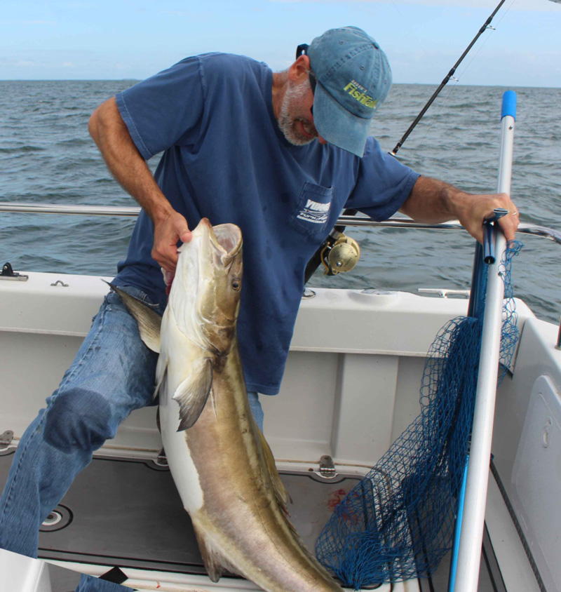 stowmaster net with cobia