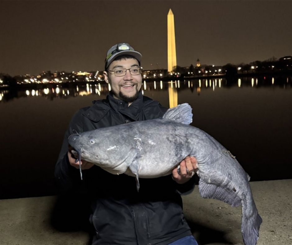 Blue catfish fishing Washington D.C.