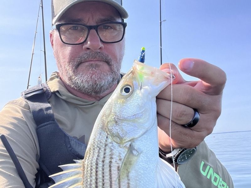 striped bass fishing chesapeake bay