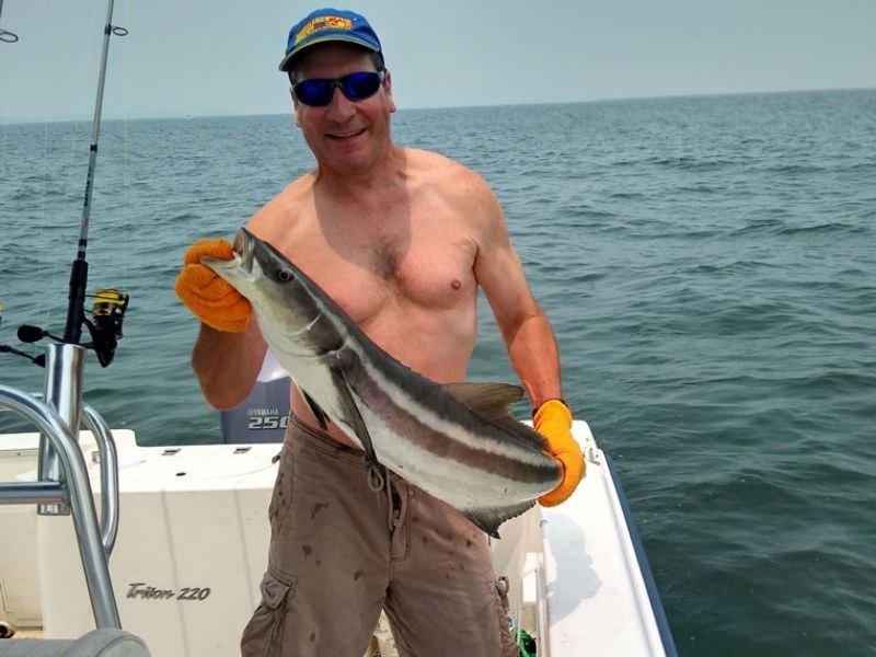 Cobia Fishing