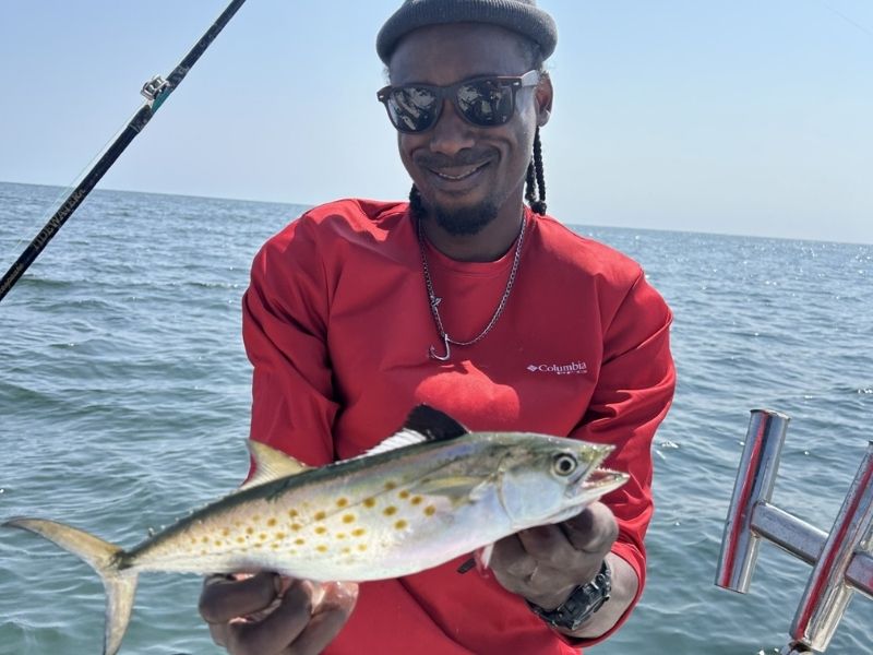 Spanish mackerel fishing