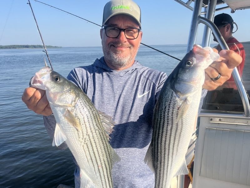 striped bass fishing chesapeake bay