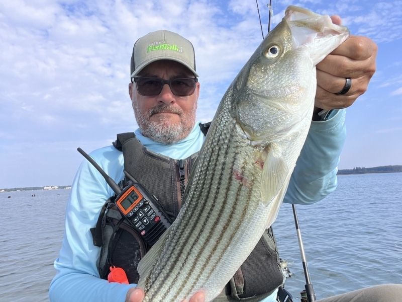 striped bass fishing chesapeake bay