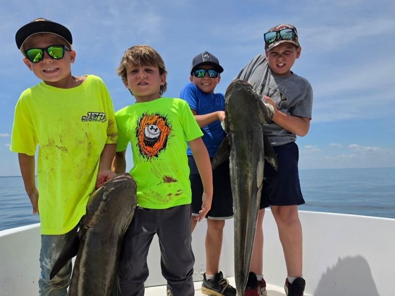 Cobia Fishing Chesapeake Bay