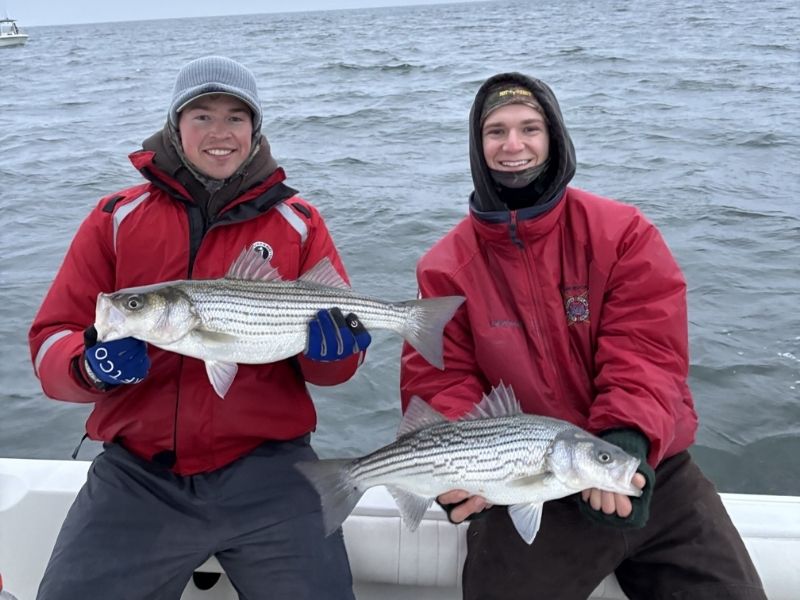 Striped bass fishing Potomac River