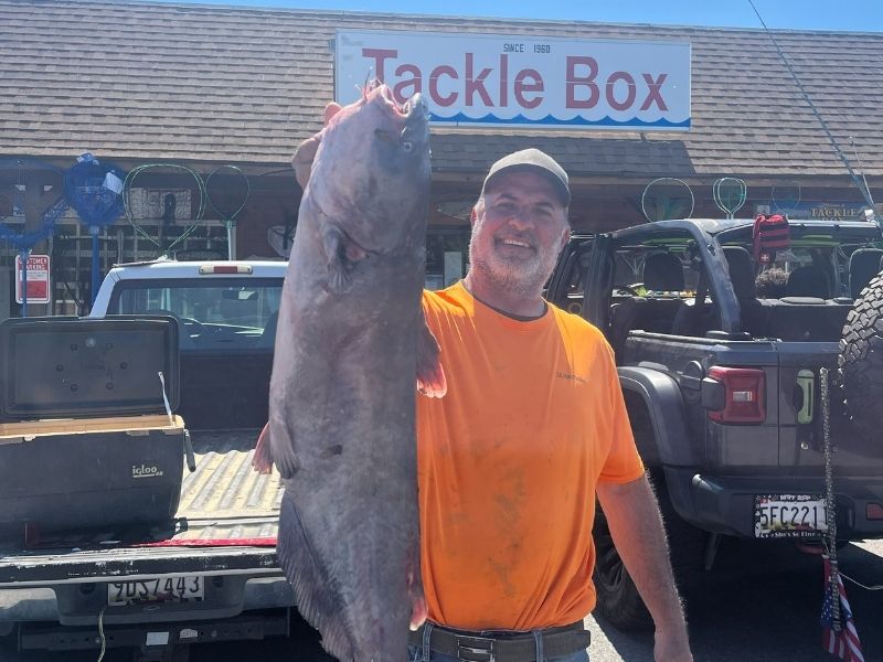 blue catfish chesapeake bay invasive species
