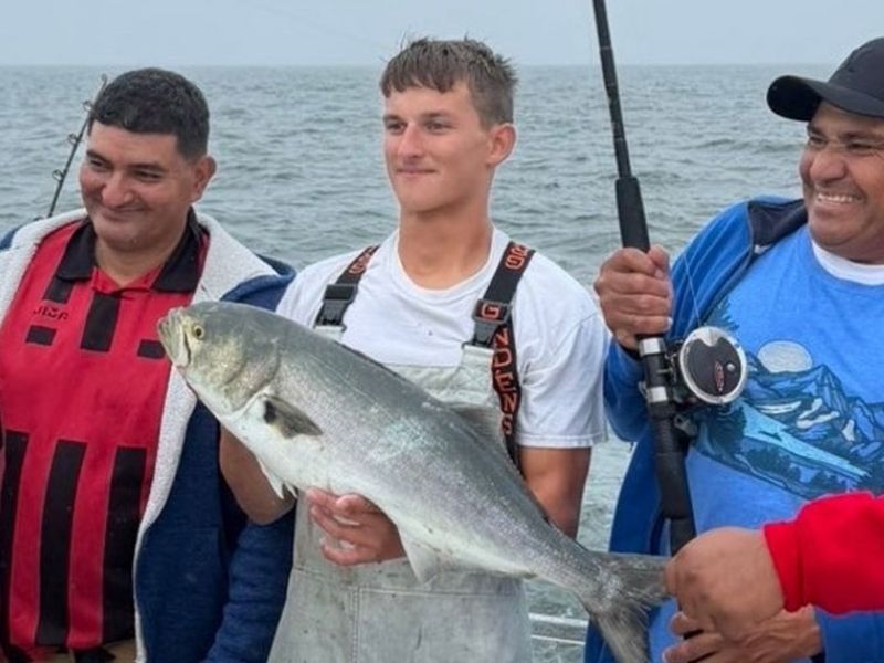Bluefish fishing Chesapeake Bay