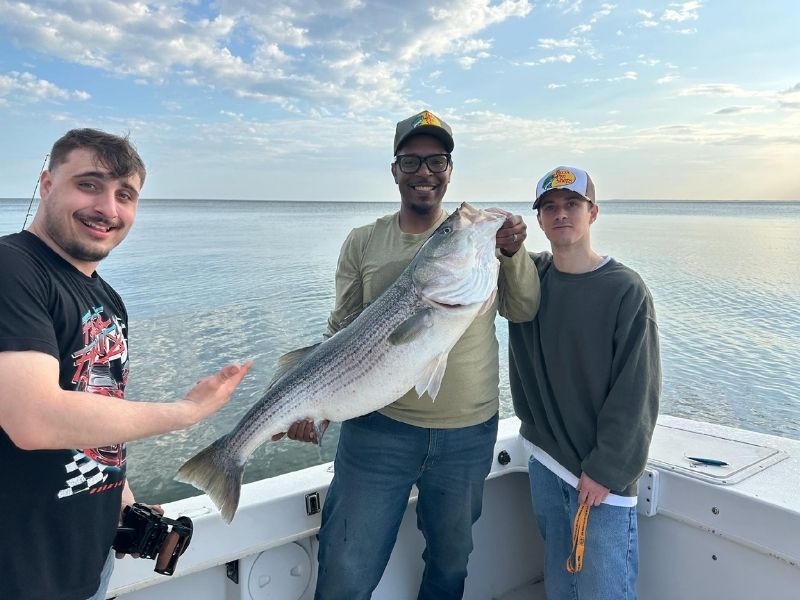striped bass fishing chesapeake bay 