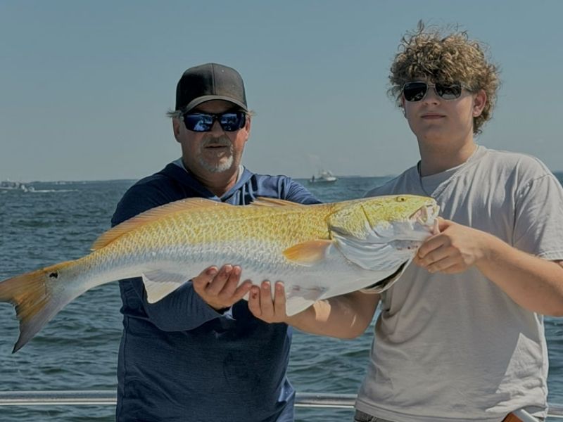 red drum fishing Chesapeake Bay