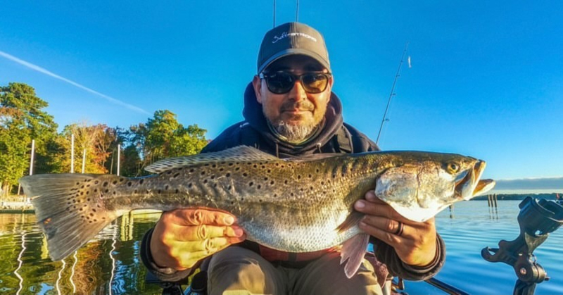 nice speckled trout from the lower bay